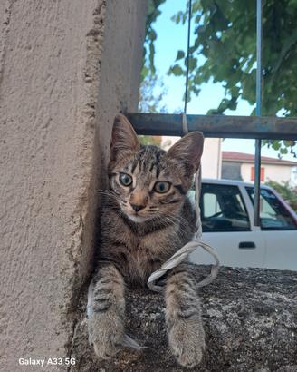 Rimasta sola senza mamma