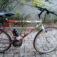 bici mtb Giant