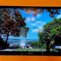 TV Sony Bravia 3D-40EX720,40 pollici 