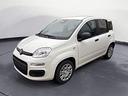 fiat-panda-1-0-70cv-hybrid-icon