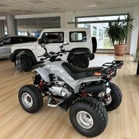 Atv Dinli DL 350