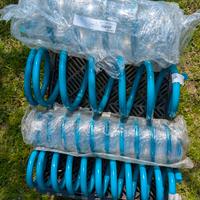 molle Dobinsons per offroad 4x4