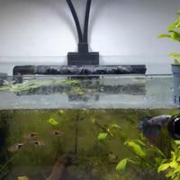 Acquario da 15 litri.