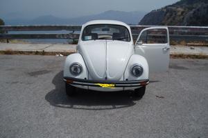 MAGGIOLINO VETRO PIATTO 1200 MOD 1979