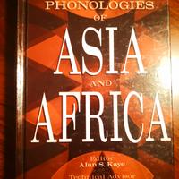 Phonologies of Asia and Africa 