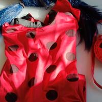 vestito di carnevale Lady Bug