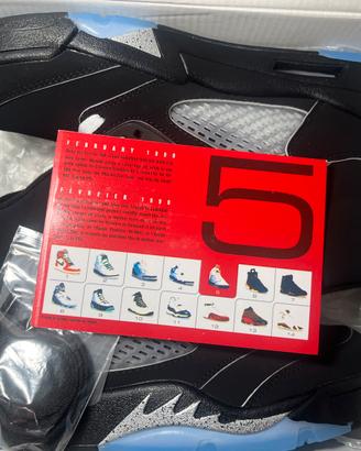 🧊 Air Jordan 5 Black & Icy Blue