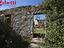 Immagine 11