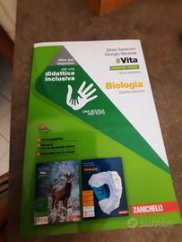 "VITA" di Saraceni e Strumia (didattica inclusiva)