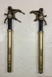 COPPIA FORCELLE FRONT FORK PER KAWASAKI NINJA ZX10