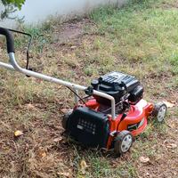 Rasaerba Green Cut GLM660X