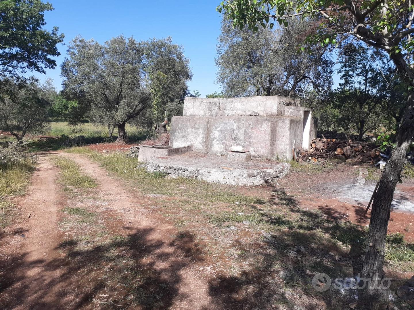 Terreno ostuni carovigno edificabile 9000mq - Vista 3