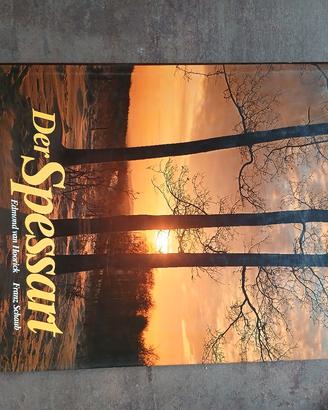Spessart, Edmond van Hoorick vintage 1981
