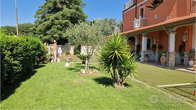 V004114 INVESTIMENTO MONSANO
