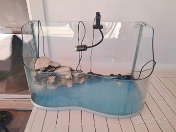 acquario tartarughe 