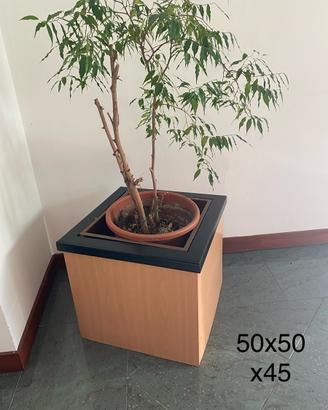 Fioriera in legno con Interno cassa metallo