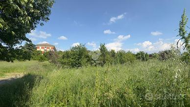 TERRENO A NOVI LIGURE