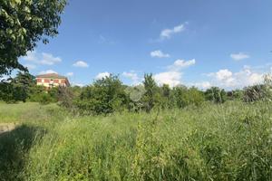 TERRENO A NOVI LIGURE