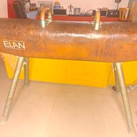 🐎 RARA CAVALLINA GINNASTICA VINTAGE ELAN 