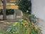 Immagine 21