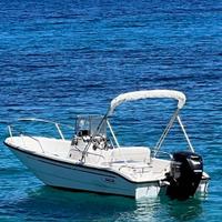 Boston Whaler 16 dauntless