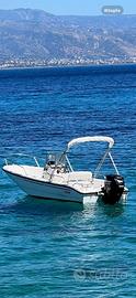 Boston Whaler 16 dauntless