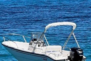 Boston Whaler 16 dauntless