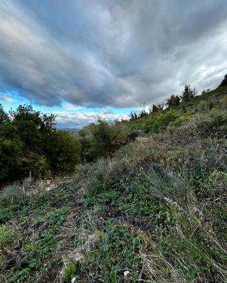 Terreno a Florinas