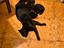 Immagine 4