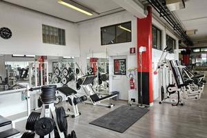 Immobile di 570 m² con 5 locali a Umbertide