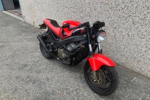 Honda CBR 600 cafè racer 