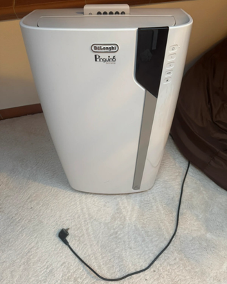 Condizionatore Pinguino DeLonghi