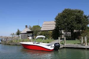 Foran ceccherini - nuovo