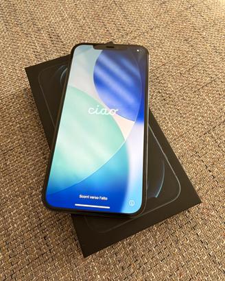 Apple Iphone 12 Pro Max 256 GB