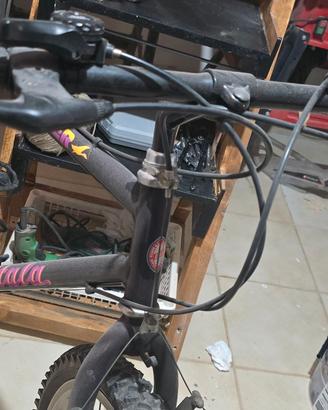 Bicicletta uomo Atala