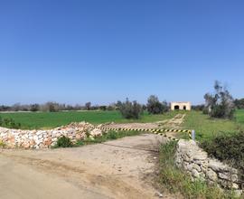 Terreno Agricolo in località Giardino Tornesella