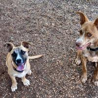 TINA e BINA le sorelline proprio belle