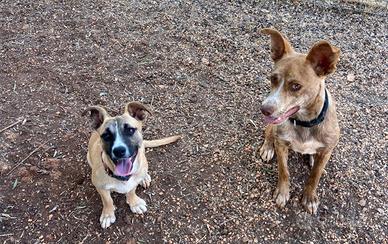 TINA e BINA le sorelline proprio belle