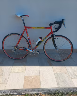Bicicletta da corsa
