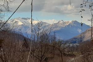 Terreno agricolo a Miasino, lago d'Orta