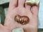 Immagine 3