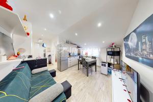 MANSARDA COMPLETAMENTE RISTRUTTURATA - BARACCONE -