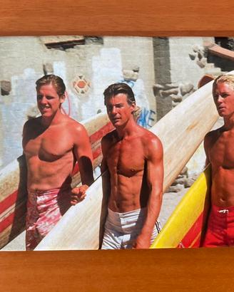Quadro del film “Un mercoledì da leoni”