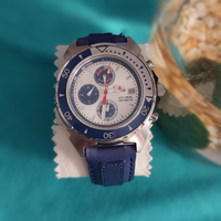 Orologio sector ste depthmeter