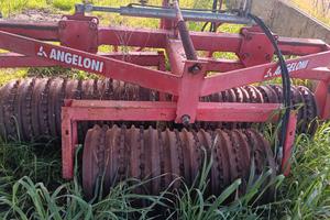 rullo angioloni  costirpatore 