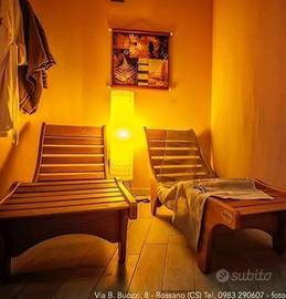 Coppia Poltrona relax chaise lounge