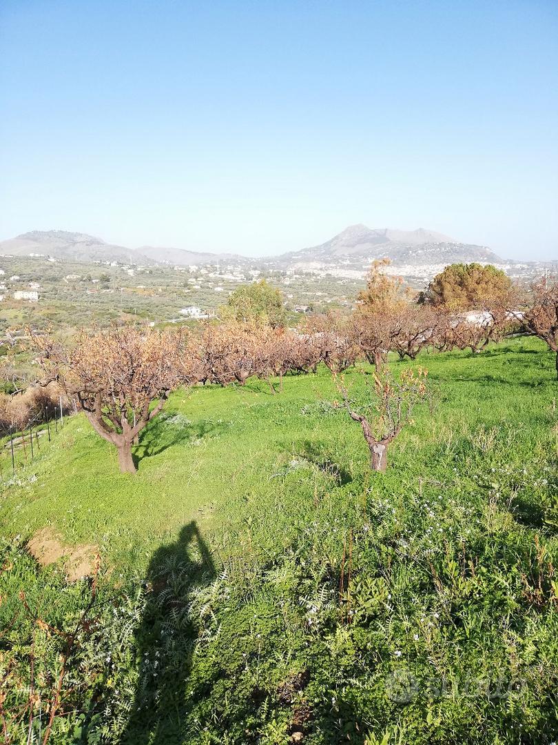 Terreno agricolo 6000 mq - Altro