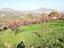 Immagine 6