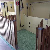 2 Stazioni di lavaggio per cani/gatti self service