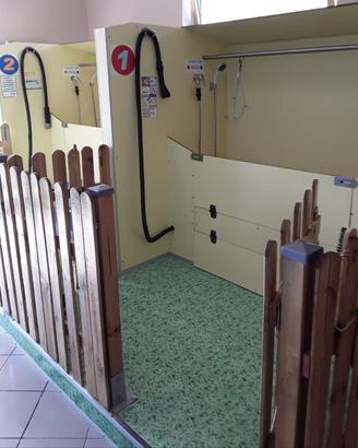 2 Stazioni di lavaggio per cani/gatti self service